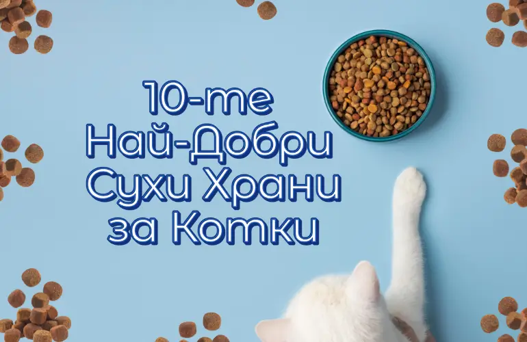 Най-Добри Сухи Храни за Котки